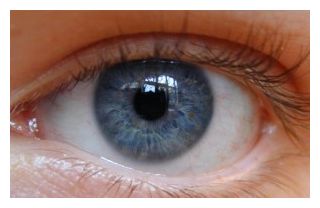 Eye