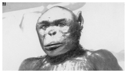 Abominable Snowman_1