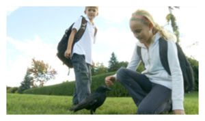 Click to enlarge Walter the Crow_1