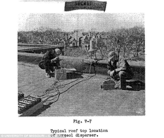 Click to enlarge photographs of the spraying