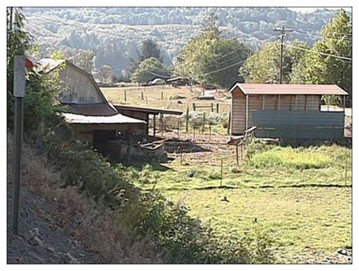 Pig Farm