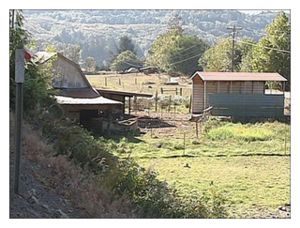 Pig Farm