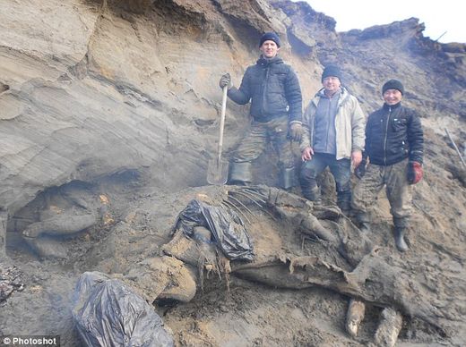 Click to enlarge Mammoth
