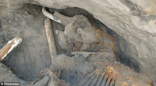 Click to enlarge mammoth