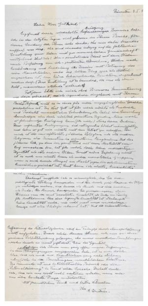 Einstein's Letter