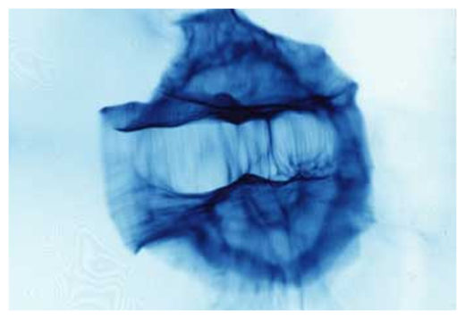 Click to enlarge Plasma Streams