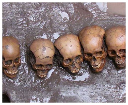 Five Skulls