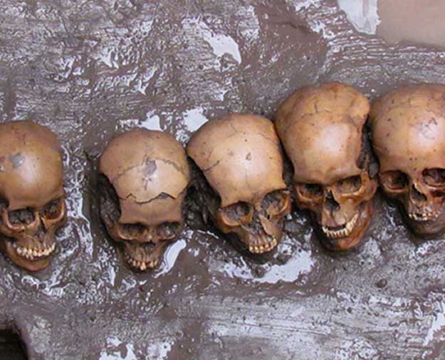 Five Skulls
