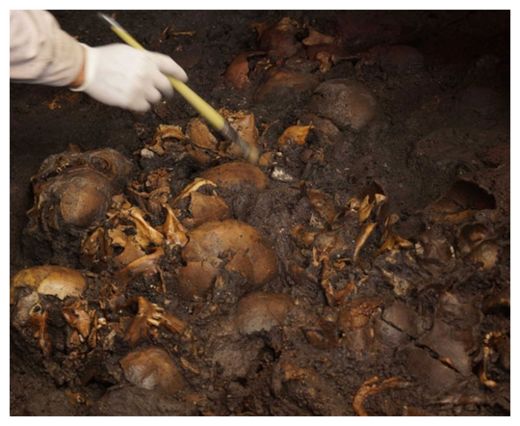 50 Skulls Unearthed