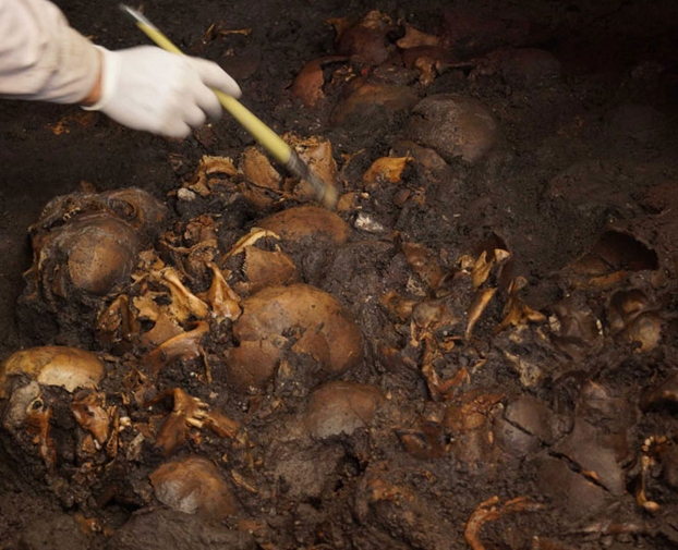 50 Skulls Unearthed