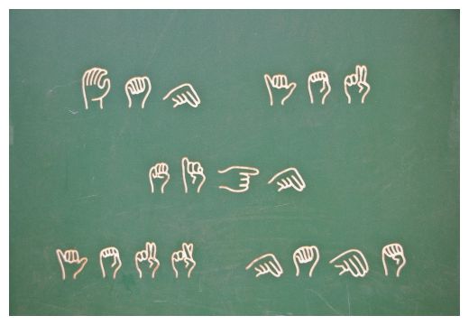 Studying Language