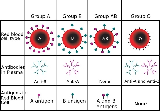 Click to enlarge Blood Types