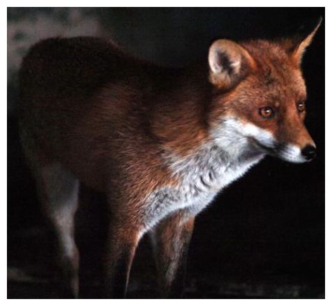 Fox