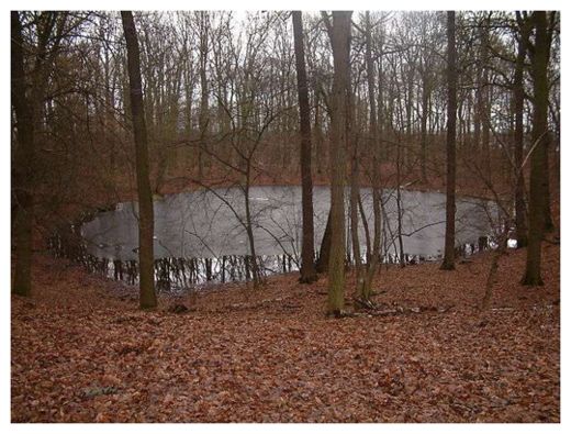 Meteorite Crater