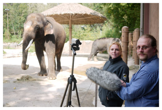 Elephant Speaks Korean