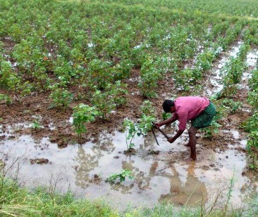 Eluru floods