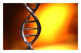 DNA