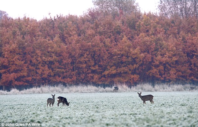 Click to enlarge frost UK