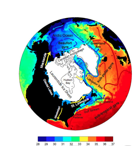 Click to enlarge Big Freeze