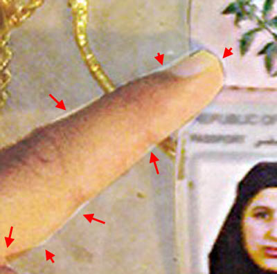 Click to enlarge fake obl wife zoon
