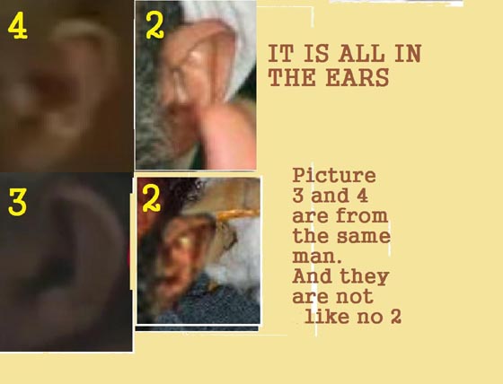 obl fake ears 1