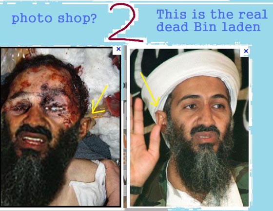 Click to enlarge obl fake ears 2