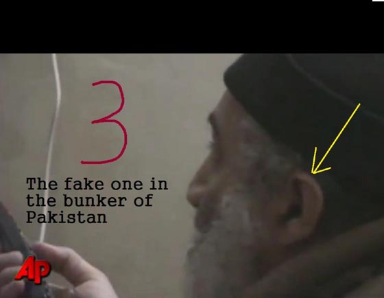 Click to enlarge obl fake ears 3