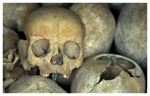 Skulls