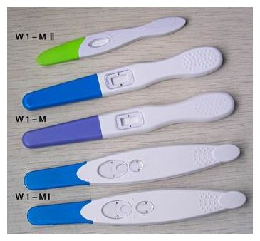 Pregancy Test