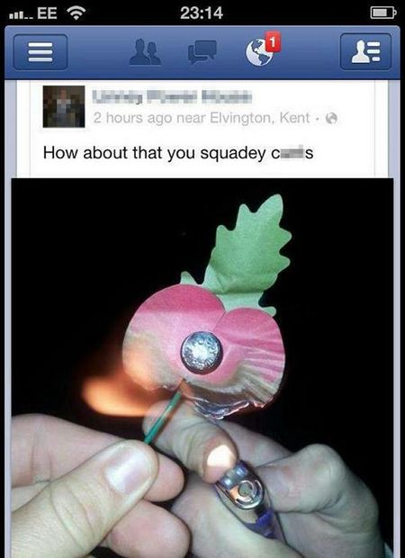 Click to enlarge burning poppy