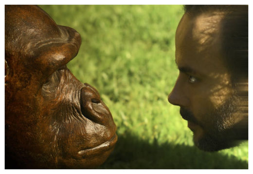 Apes and Humans
