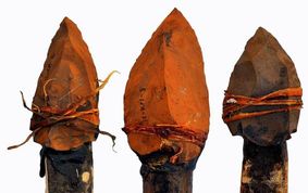 Stone-tipped spear