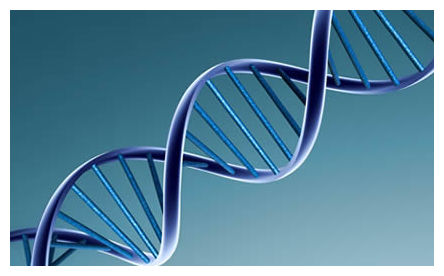 DNA