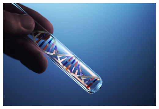 DNA