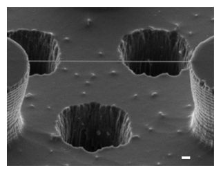 Click to enlarge DNA_1