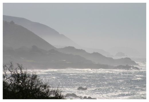 Coastal Fog