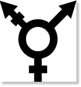 Click to enlarge transgender