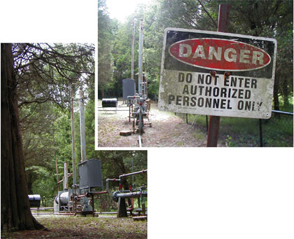 Click to enlarge Image