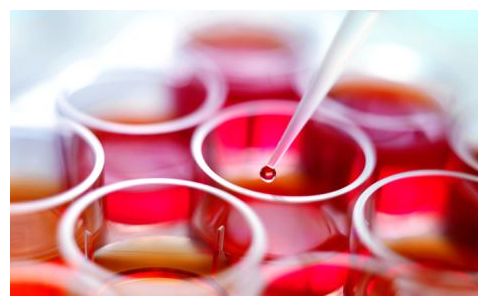 Stem Cell Contact Lens_1