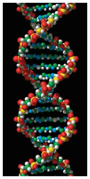 Click to enlarge DNA