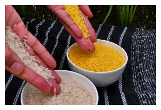 Click to enlarge Golden Rice