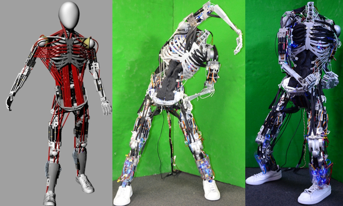 Click to enlarge Robots with Bones and Muscle