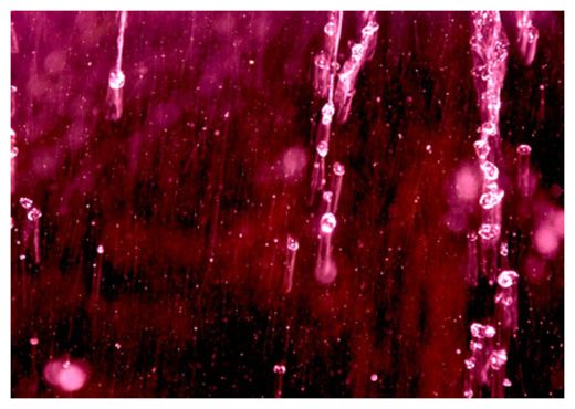 Click to enlarge Red Rain