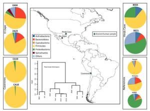 Bacterial ecology