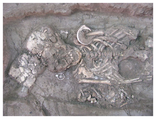Skeleton