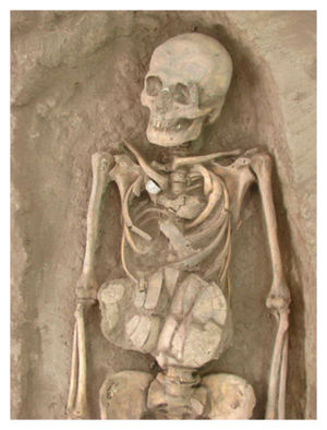 Skeleton_1