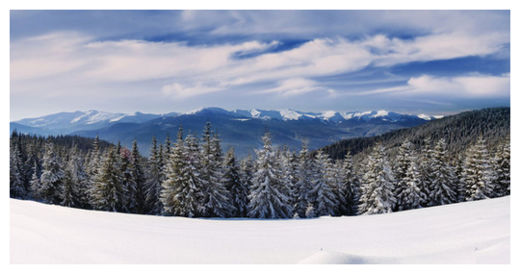 Click to enlarge Russia Cold