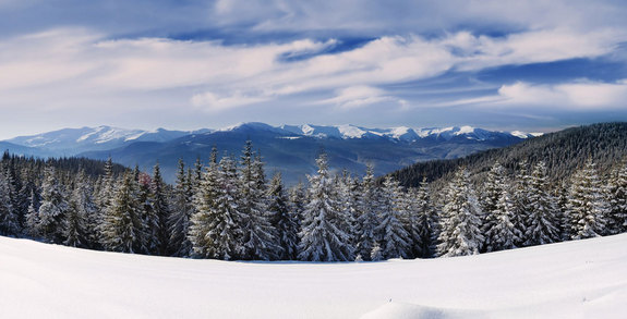 Click to enlarge Russia Cold