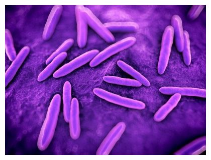 Microbes
