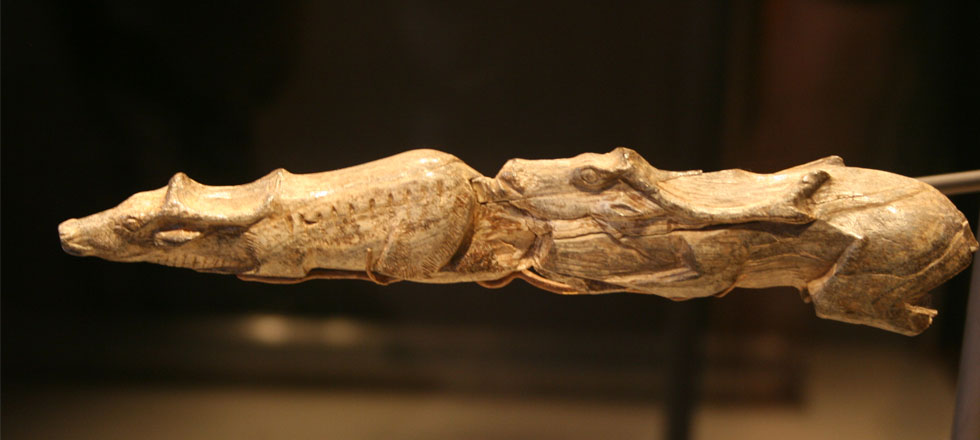 Click to enlarge Ice age reindeer